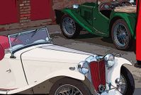MG - spare parts - MGTC 1945-1949 | EN * Webshop AngloParts